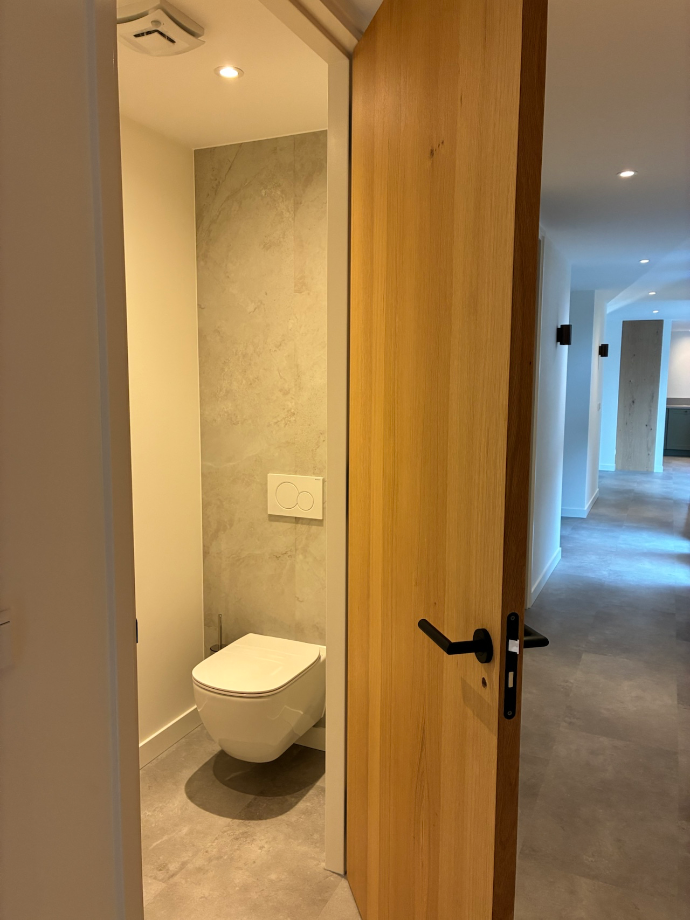 toilet.webp